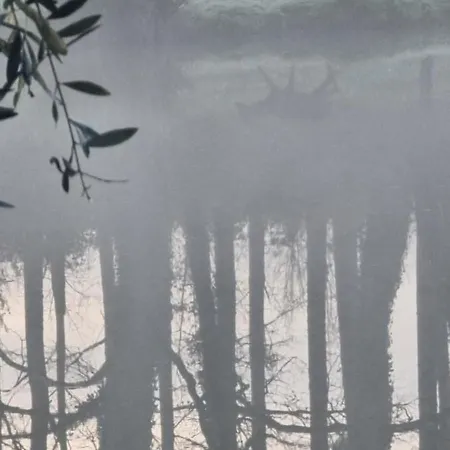 住宿加早餐酒店 A L'esquirot