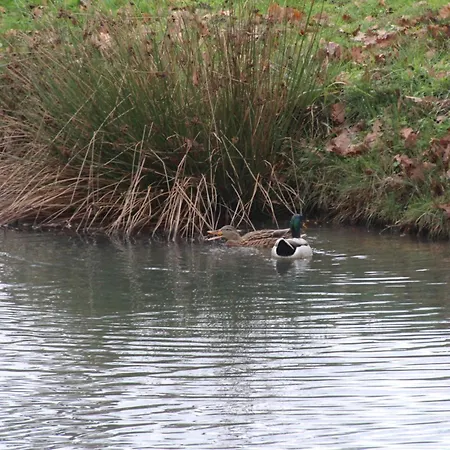 A L'esquirot 住宿加早餐酒店 *