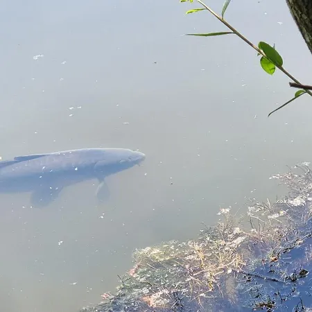 住宿加早餐酒店 A L'esquirot Gabarret