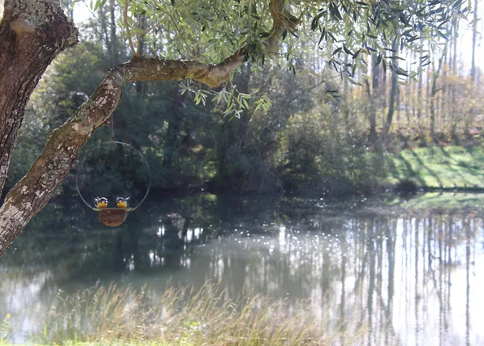 Bed & Breakfast A L'esquirot Gabarret
